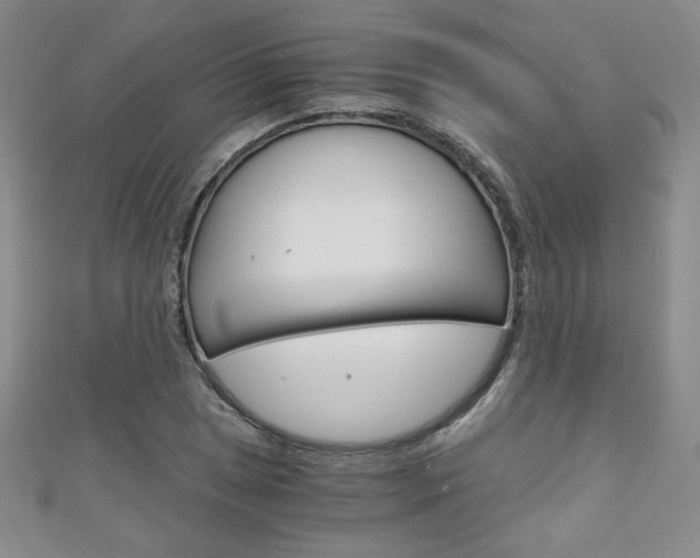 X0000111151025200906301033