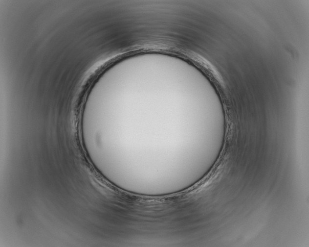 X0000111151027200906301033