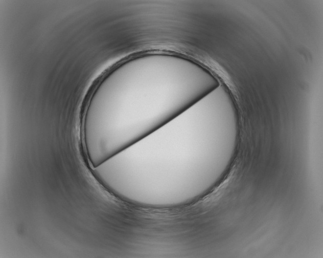 X0000111151028200906301033