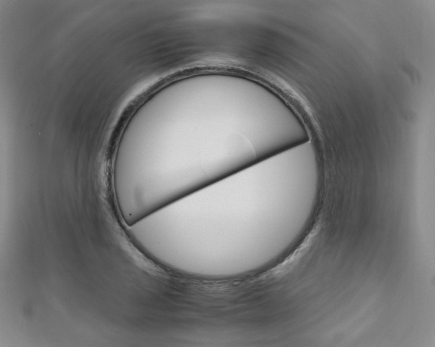 X0000111151029200906301033