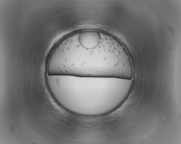 X0000111151030200906301033