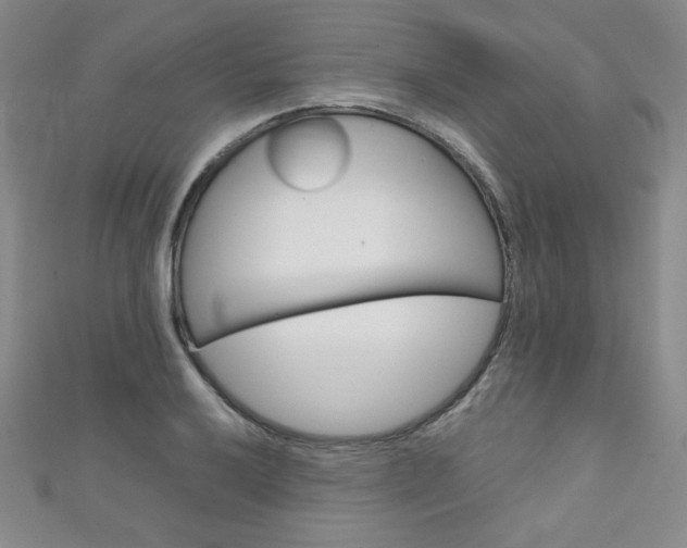 X0000111151032200906301033