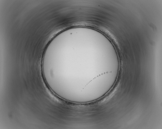 X0000111151033200906301033