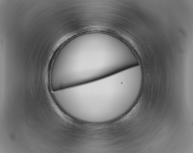 X0000111151034200906301033