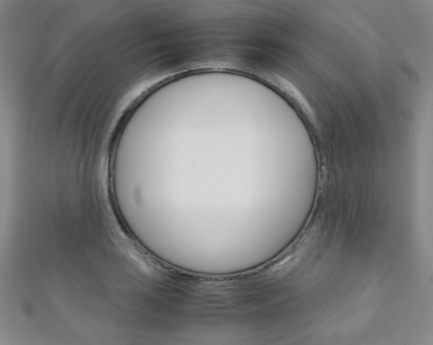 X0000111151035200906301033