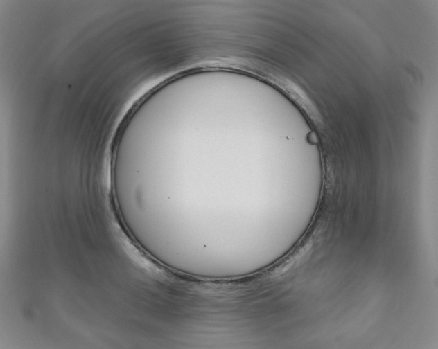 X0000111151036200906301033