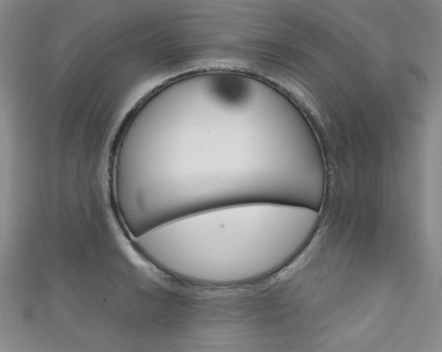X0000111151038200906301033