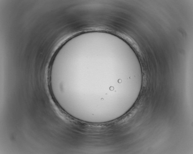 X0000111151039200906301033