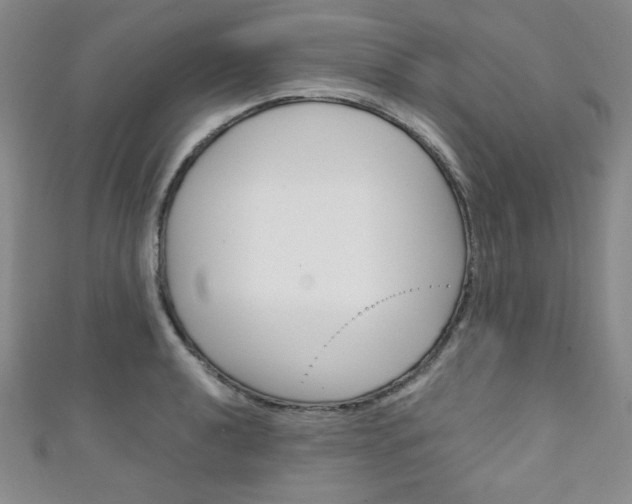 X0000111151040200906301033