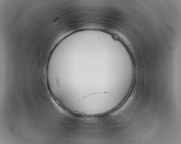 X0000111151041200906301033