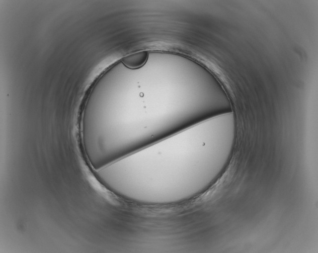 X0000111151042200906301033