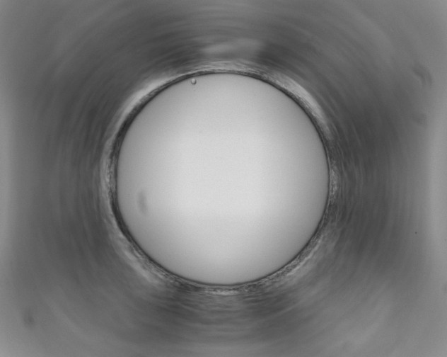 X0000111151043200906301033