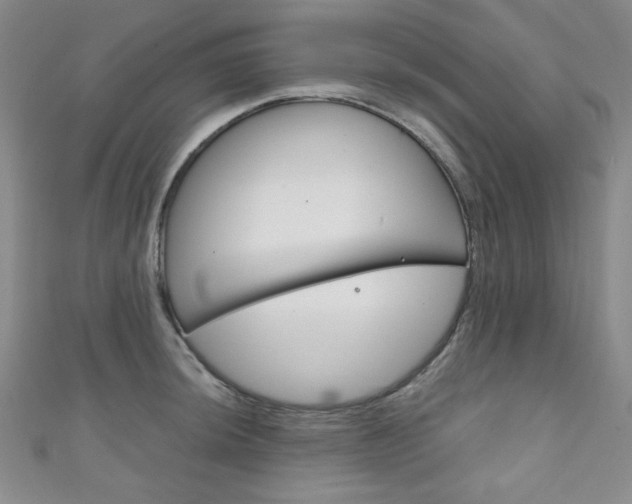 X0000111151044200906301033