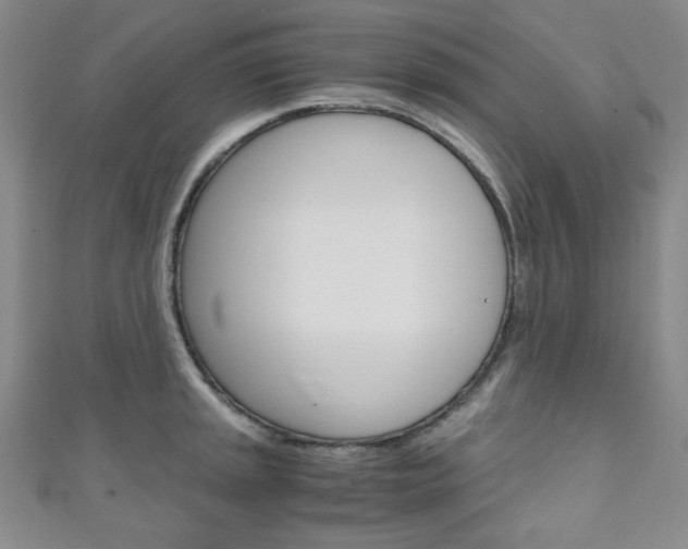 X0000111151045200906301033