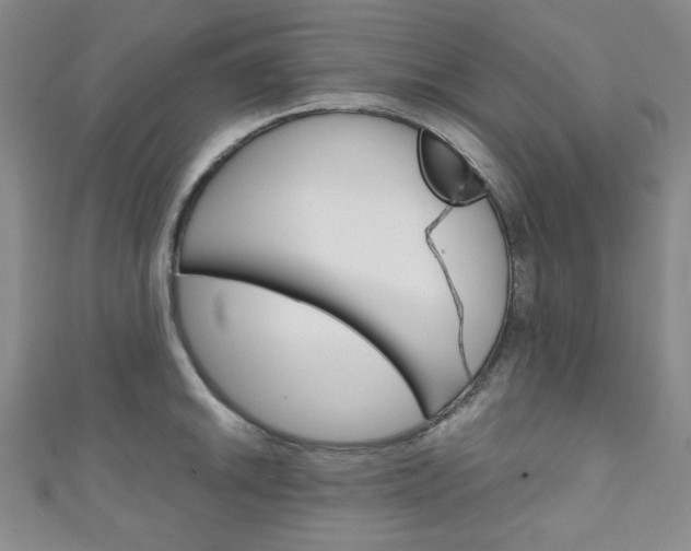 X0000111151046200906301033