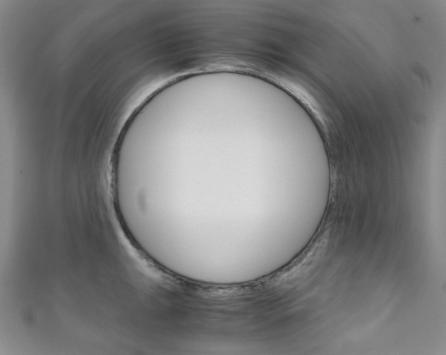 X0000111151047200906301033