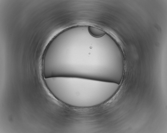 X0000111151048200906301033
