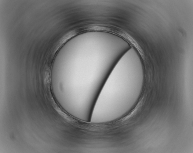 X0000111151049200906301033