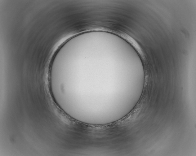 X0000111151051200906301033