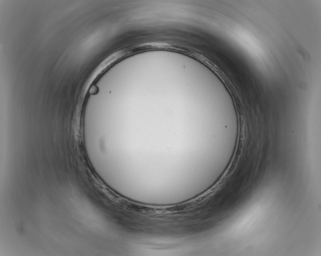 X0000111151052200906301033