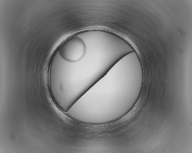 X0000111151054200906301033