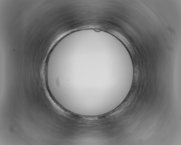 X0000111151055200906301033