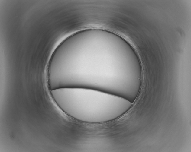 X0000111151056200906301033