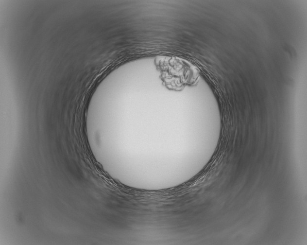 X0000111151057200906301033