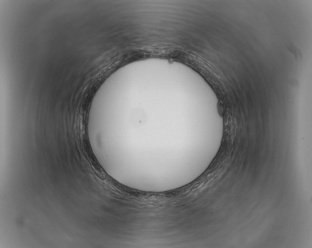 X0000111151058200906301033