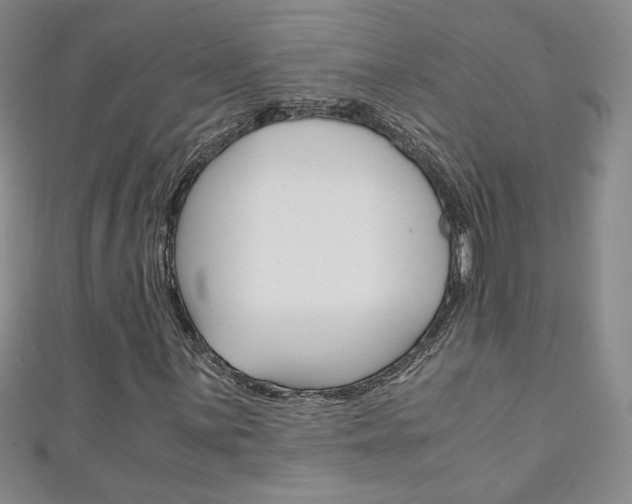 X0000111151059200906301033