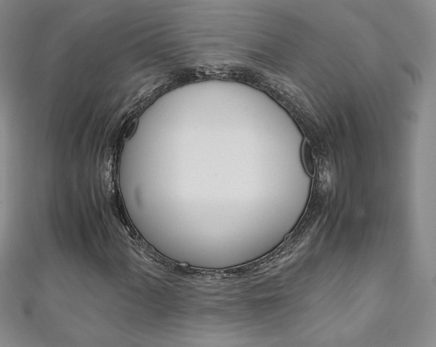 X0000111151060200906301033