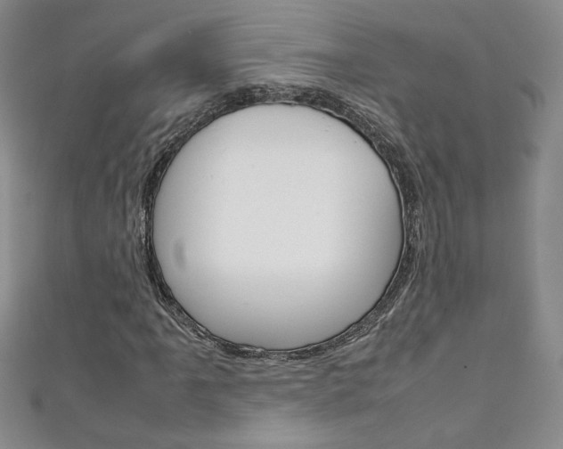 X0000111151061200906301033