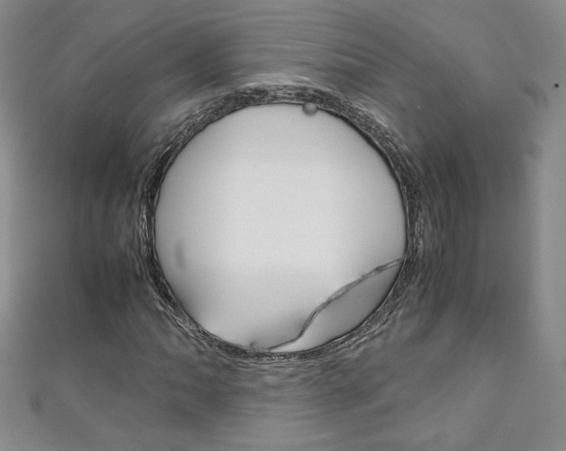 X0000111151062200906301033
