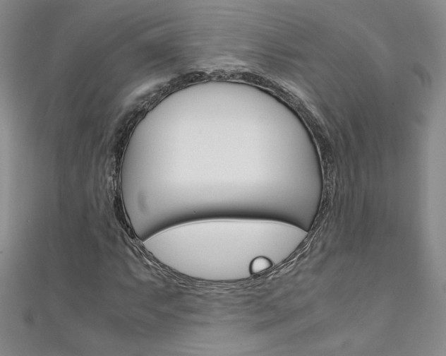 X0000111151063200906301033