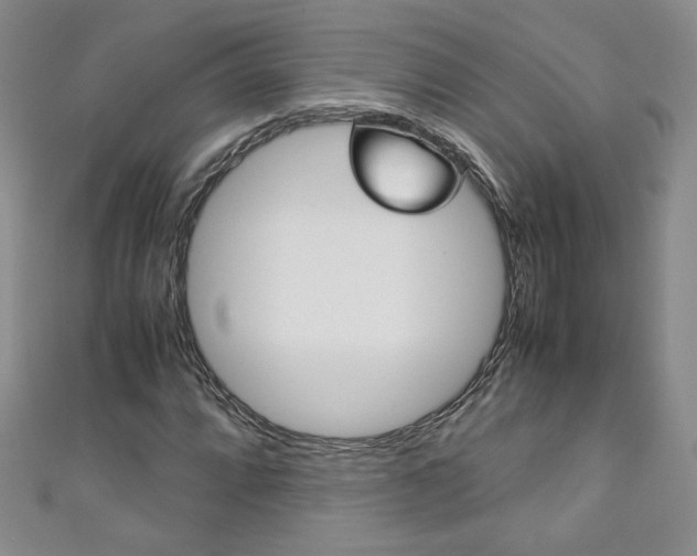 X0000111151064200906301033