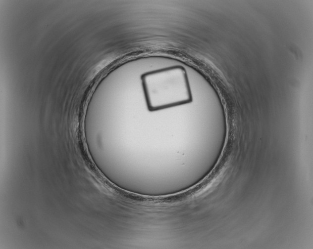X0000111151065200906301033