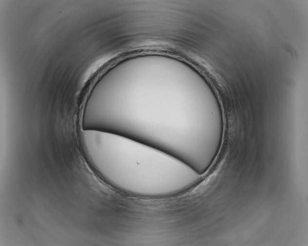 X0000111151066200906301033