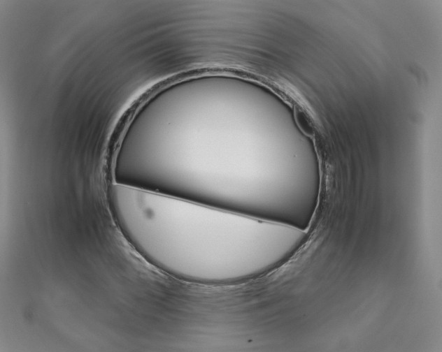 X0000111151068200906301033