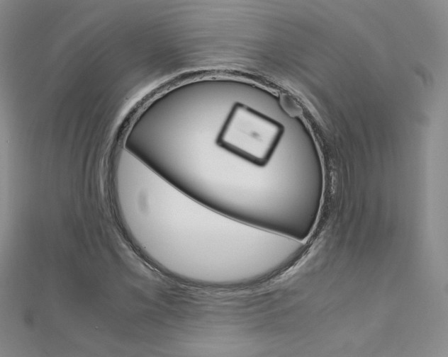 X0000111151069200906301033