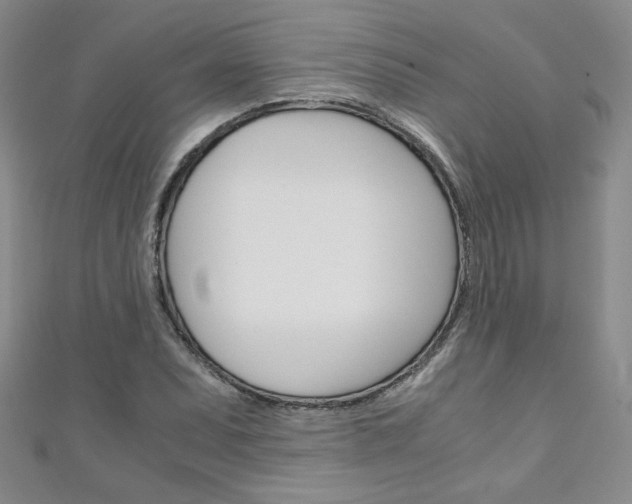 X0000111151071200906301033