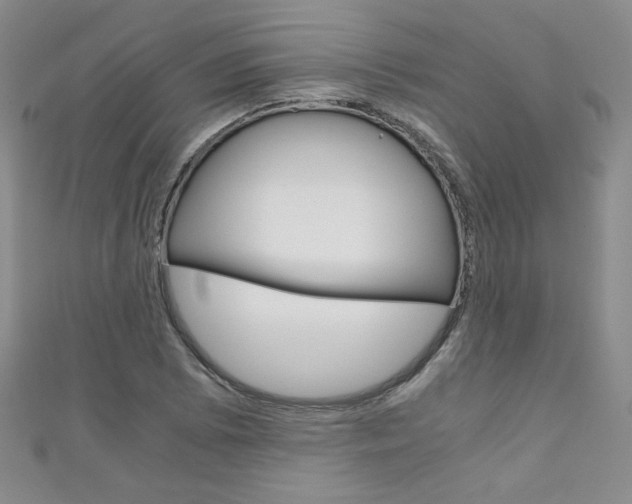 X0000111151073200906301033