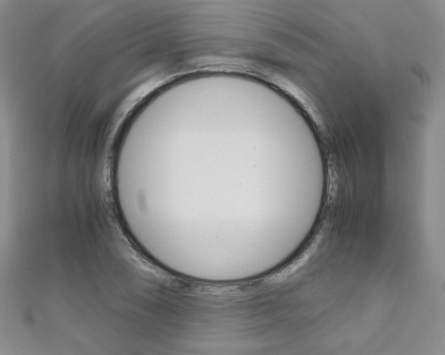 X0000111151074200906301033