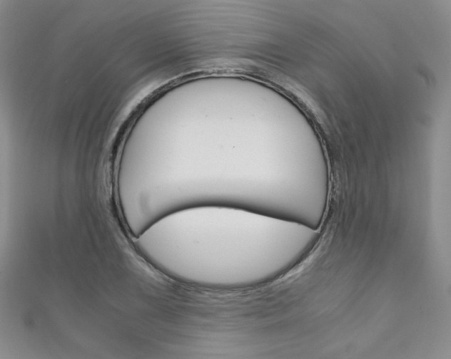 X0000111151075200906301032