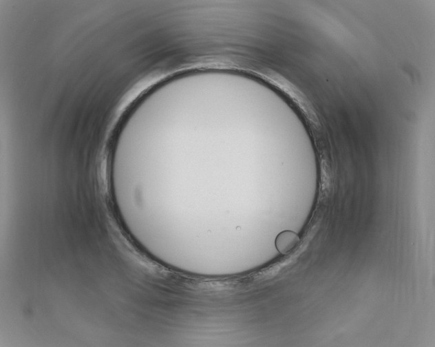 X0000111151078200906301032