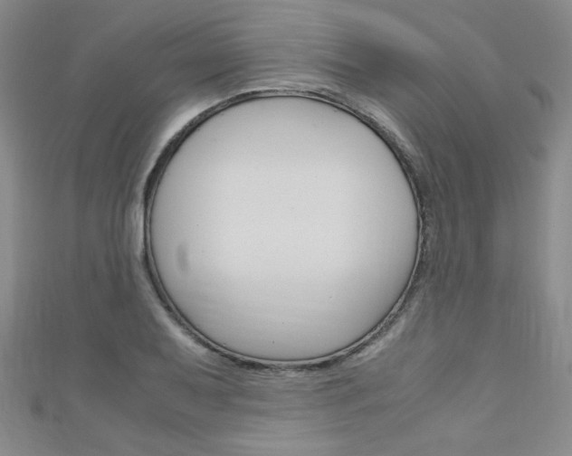 X0000111151079200906301032