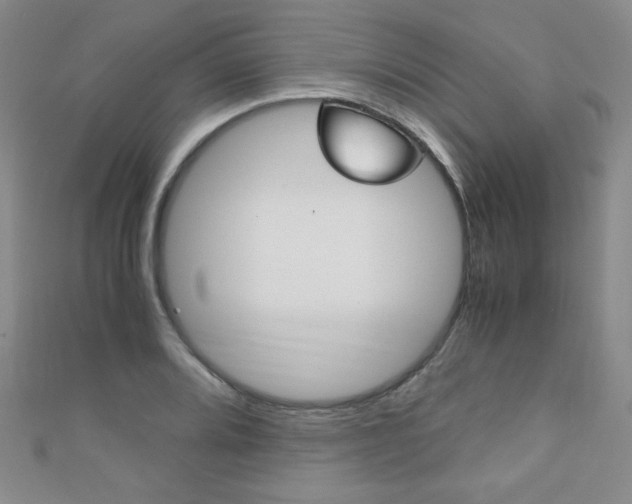 X0000111151080200906301032