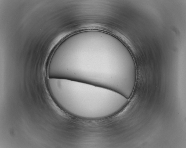 X0000111151082200906301032