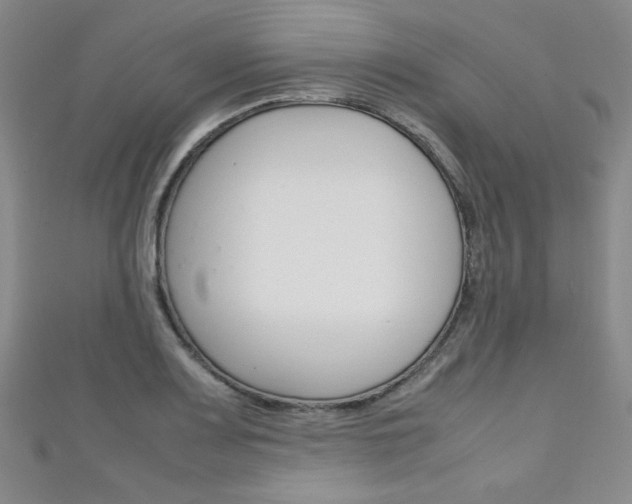X0000111151083200906301032