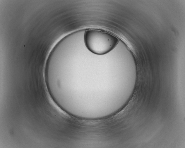 X0000111151084200906301032