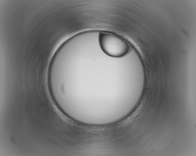 X0000111151085200906301032
